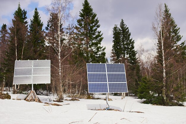panneaux solaires dans la forêt