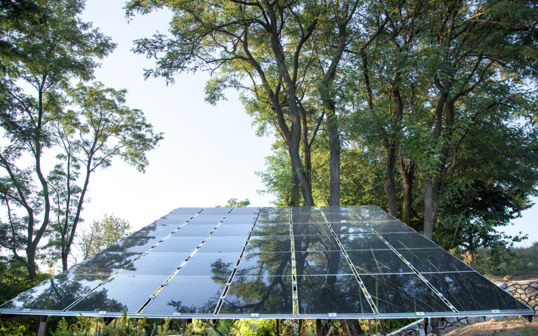 Image de panneaux solaires dans une forêt